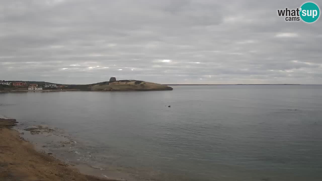 Sarchittu spletna kamera: Neposredni pogledi na osupljive plaže na Sardiniji, Italija