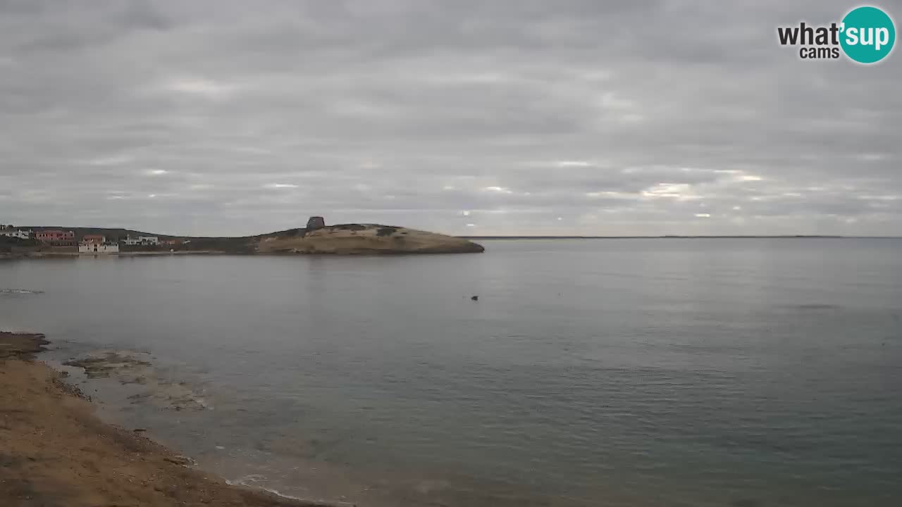 Sarchittu Web kamera: Pogled uživo na prekrasne plaže u Sardiniji, Italija