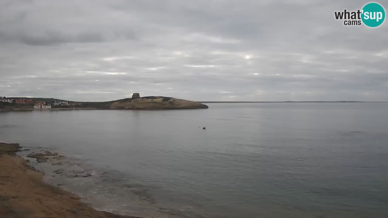 Webcam di Sarchittu: vista in tempo reale delle bellissime spiagge della Sardegna