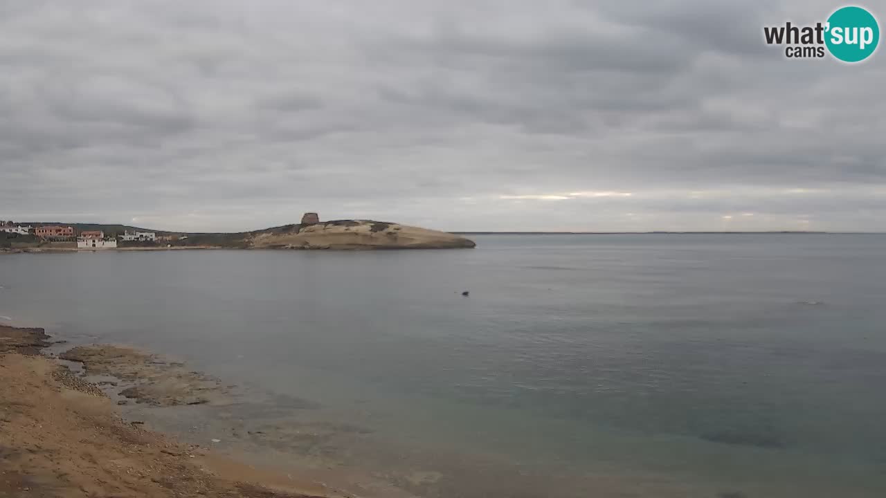 Webcam di Sarchittu: vista in tempo reale delle bellissime spiagge della Sardegna