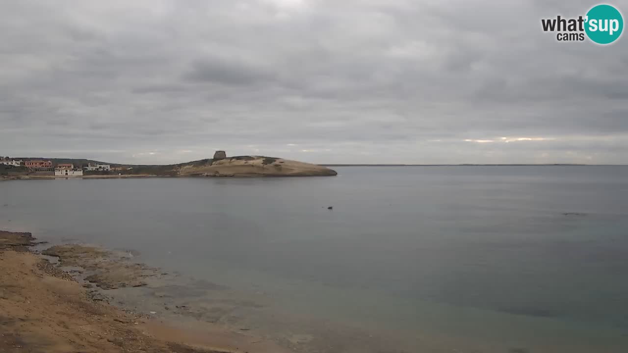 Webcam di Sarchittu: vista in tempo reale delle bellissime spiagge della Sardegna