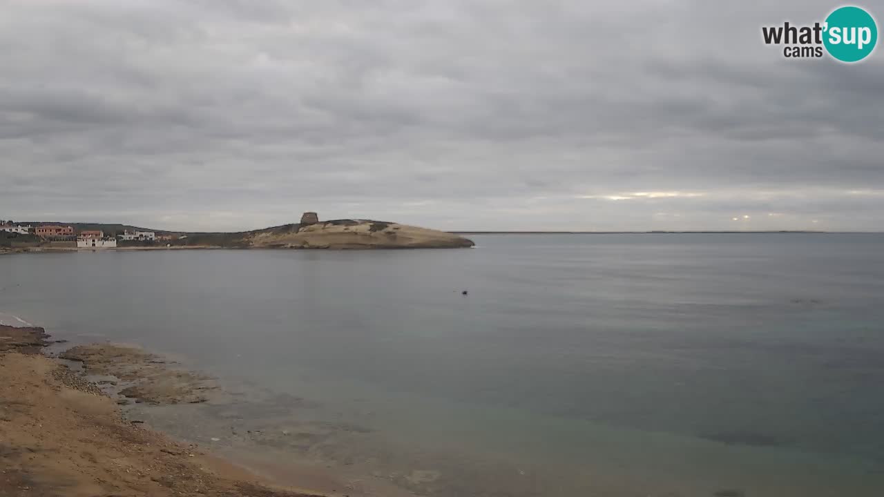 Sarchittu spletna kamera: Neposredni pogledi na osupljive plaže na Sardiniji, Italija