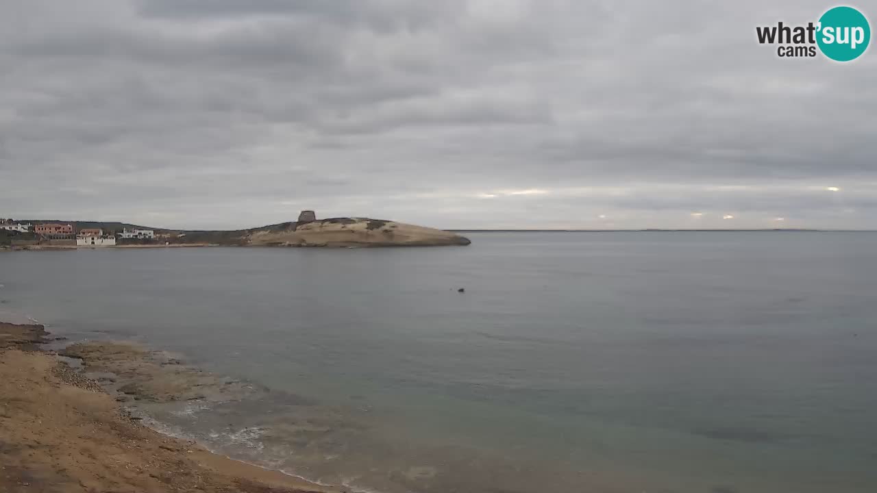 Webcam di Sarchittu: vista in tempo reale delle bellissime spiagge della Sardegna