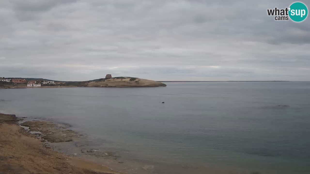 Sarchittu Web kamera: Pogled uživo na prekrasne plaže u Sardiniji, Italija