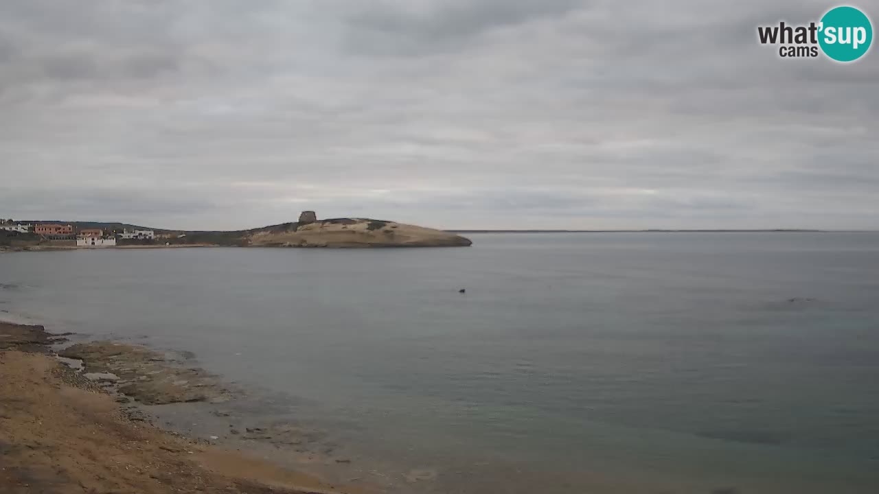 Camera en vivo Sarchittu: vistas en vivo de impresionantes playas en Cerdeña, Italia