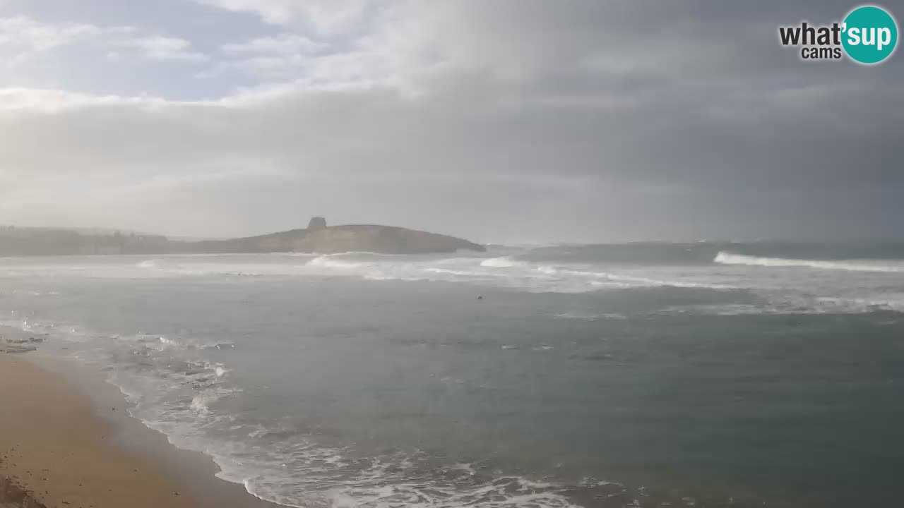 Sarchittu Webcam: Live Views of Stunning Beaches in Sardinia, Italy