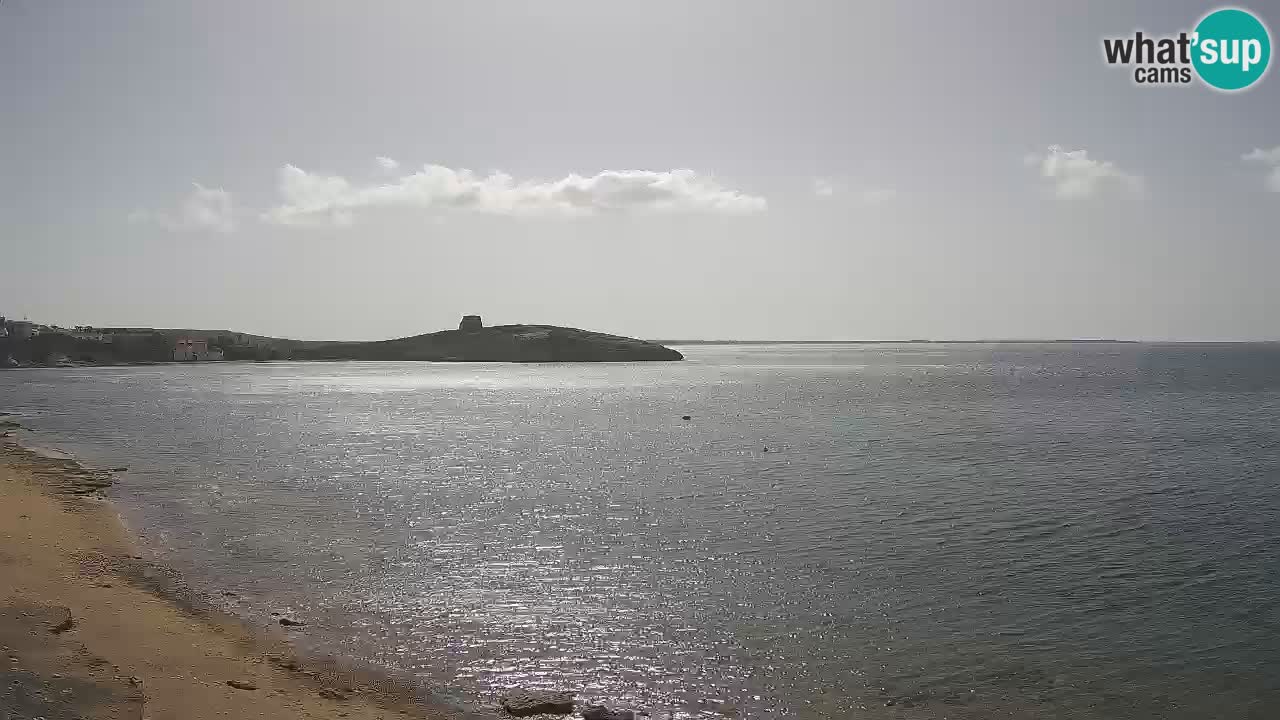 Webcam di Sarchittu: vista in tempo reale delle bellissime spiagge della Sardegna