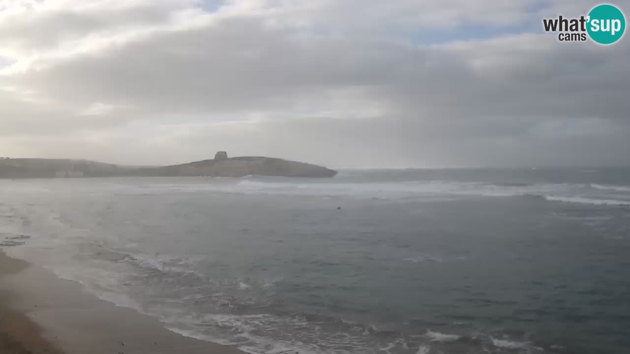 Webcam di Sarchittu: vista in tempo reale delle bellissime spiagge della Sardegna