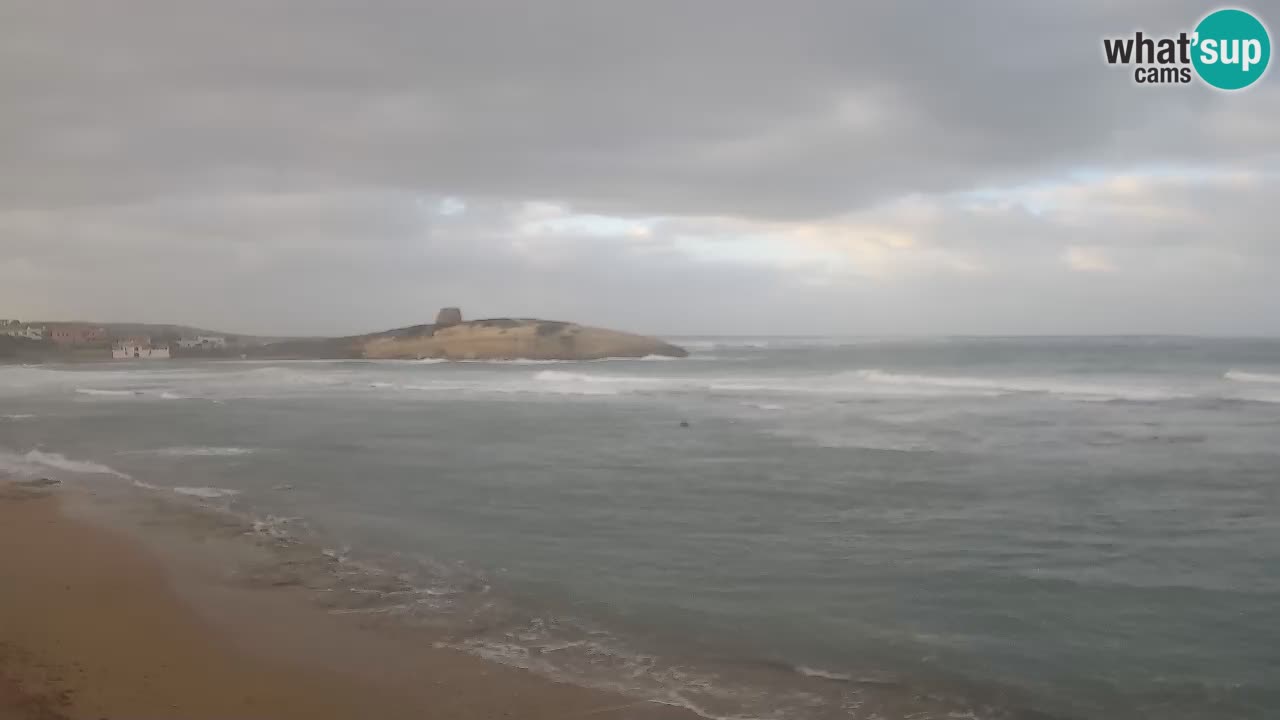 Sarchittu spletna kamera: Neposredni pogledi na osupljive plaže na Sardiniji, Italija