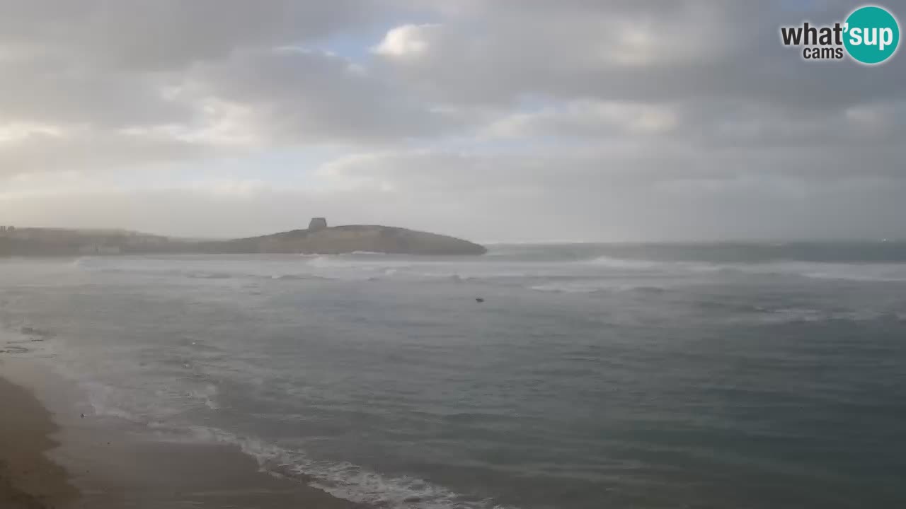 Webcam di Sarchittu: vista in tempo reale delle bellissime spiagge della Sardegna