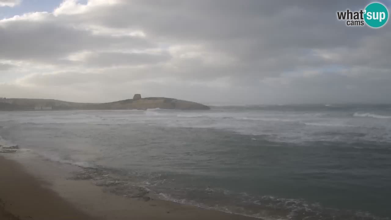 Camera en vivo Sarchittu: vistas en vivo de impresionantes playas en Cerdeña, Italia