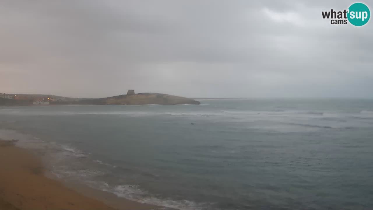 Webcam di Sarchittu: vista in tempo reale delle bellissime spiagge della Sardegna