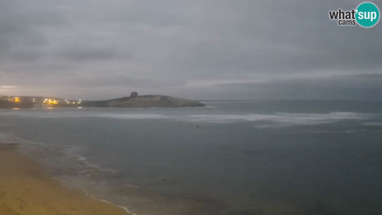 Webcam di Sarchittu: vista in tempo reale delle bellissime spiagge della Sardegna