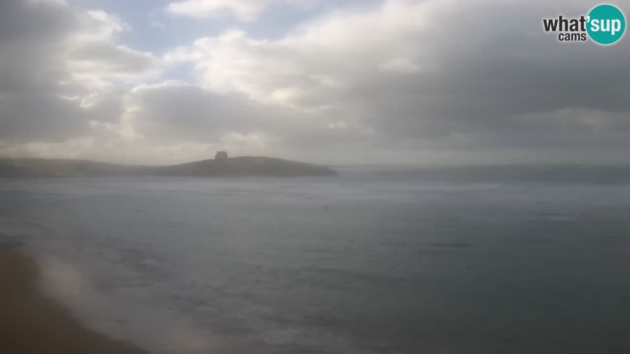 Webcam di Sarchittu: vista in tempo reale delle bellissime spiagge della Sardegna