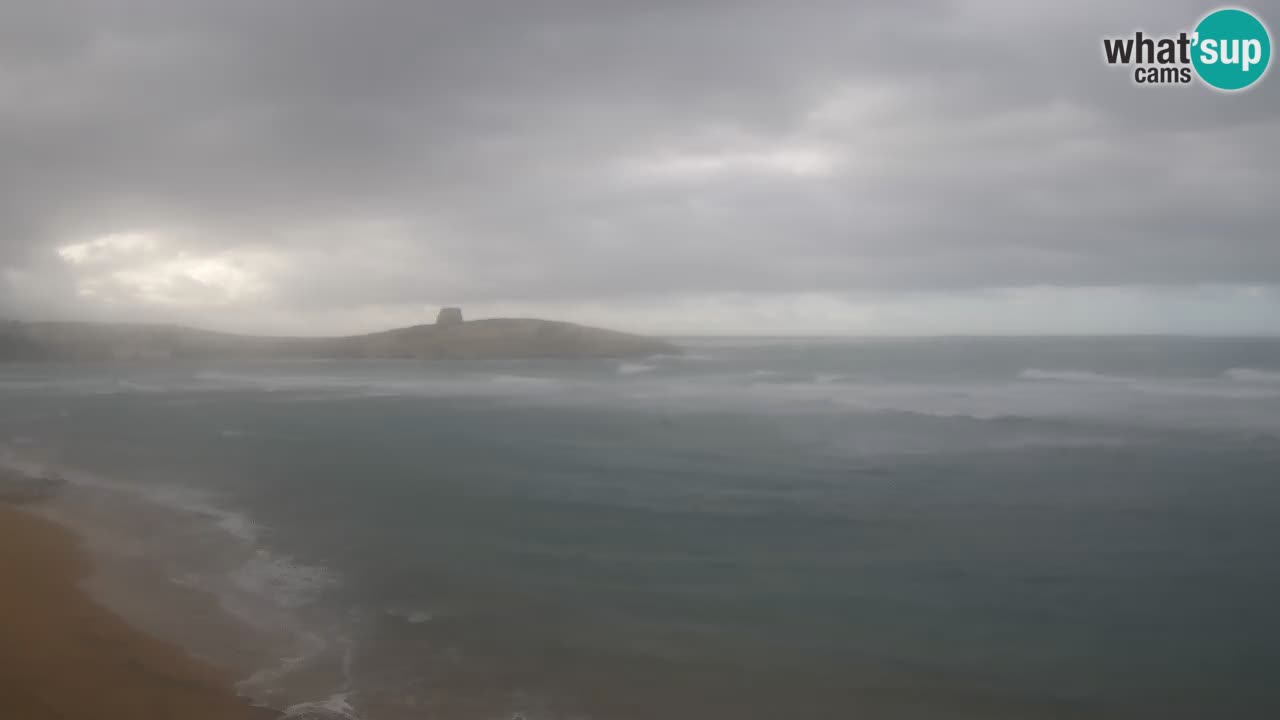 Webcam di Sarchittu: vista in tempo reale delle bellissime spiagge della Sardegna