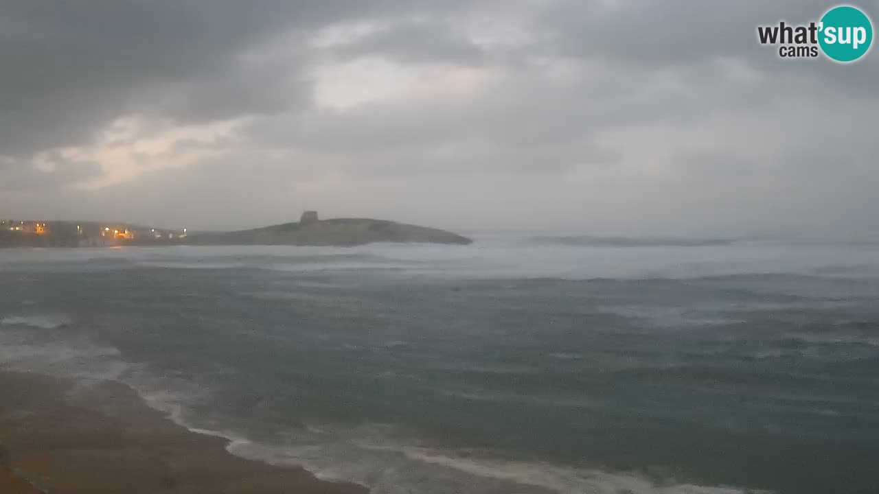 Sarchittu Webcam: Live Views of Stunning Beaches in Sardinia, Italy