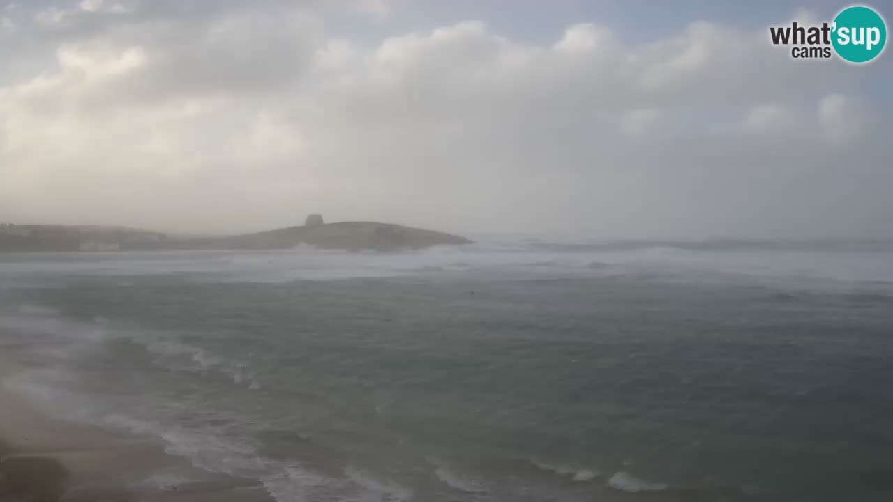 Sarchittu Webcam: Live-Blicke auf atemberaubende Strände in Sardinien, Italien