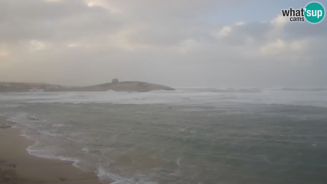 Sarchittu Webcam: Live Views of Stunning Beaches in Sardinia, Italy