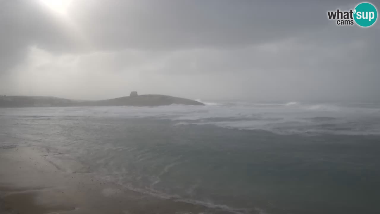 Sarchittu Web kamera: Pogled uživo na prekrasne plaže u Sardiniji, Italija