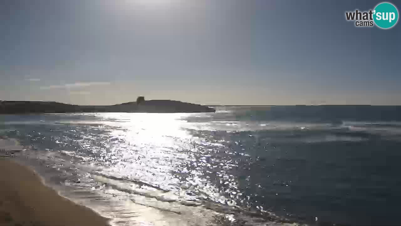 Webcam di Sarchittu: vista in tempo reale delle bellissime spiagge della Sardegna