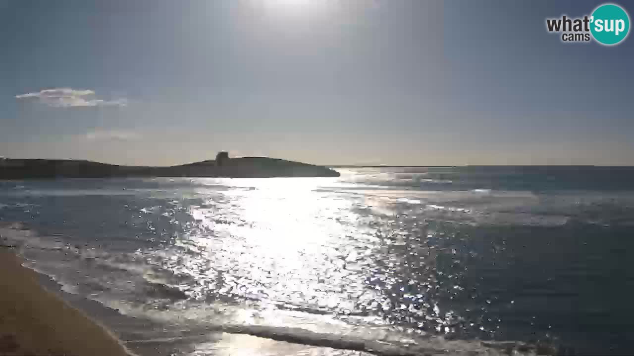 Sarchittu spletna kamera: Neposredni pogledi na osupljive plaže na Sardiniji, Italija