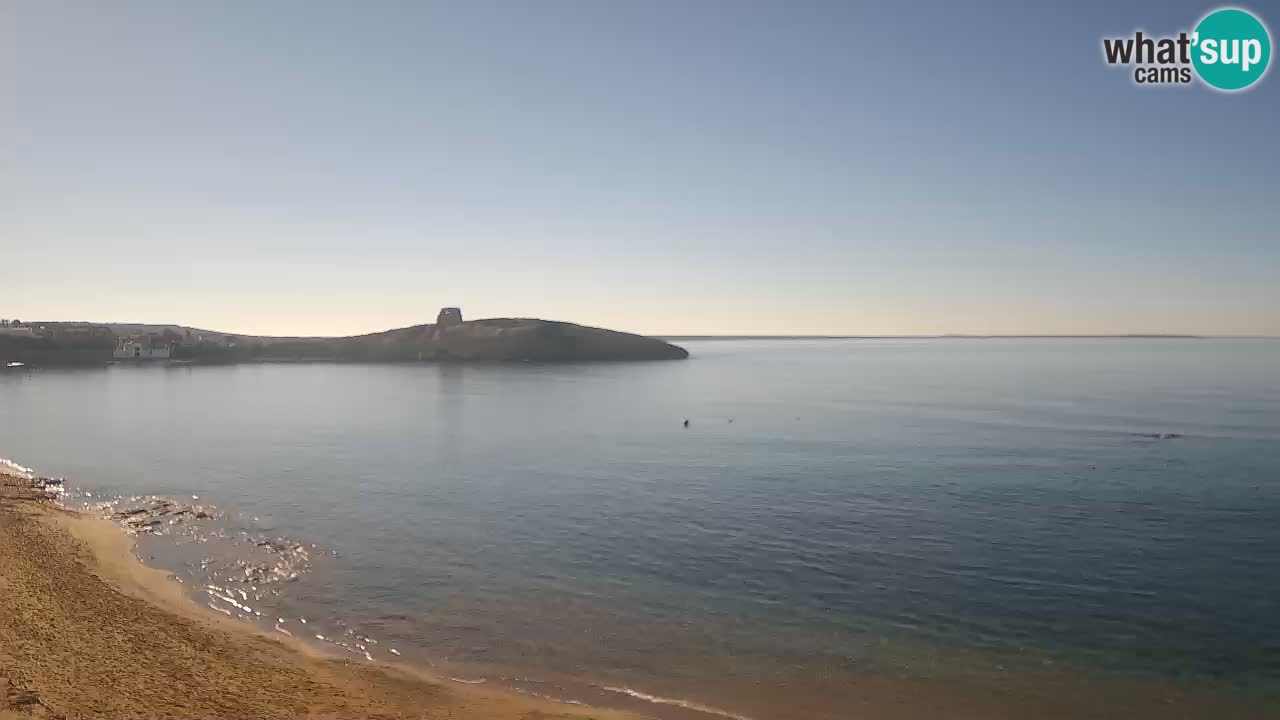 Webcam di Sarchittu: vista in tempo reale delle bellissime spiagge della Sardegna