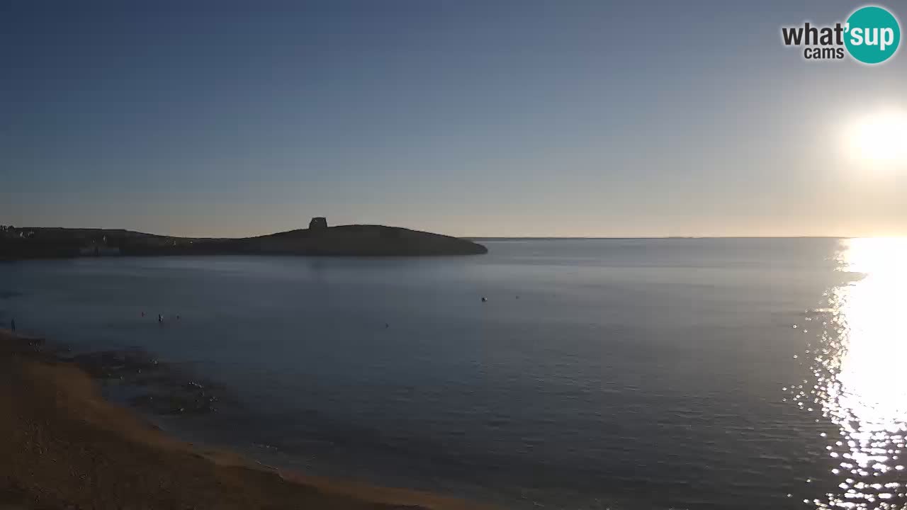 Webcam di Sarchittu: vista in tempo reale delle bellissime spiagge della Sardegna