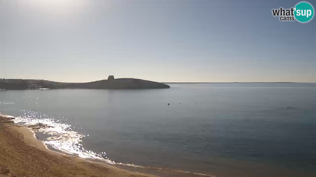 Webcam di Sarchittu: vista in tempo reale delle bellissime spiagge della Sardegna