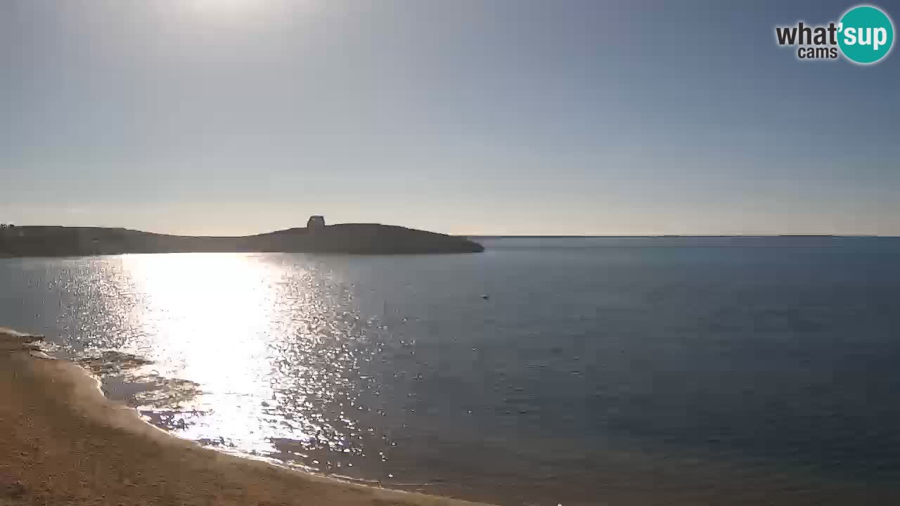 Webcam di Sarchittu: vista in tempo reale delle bellissime spiagge della Sardegna