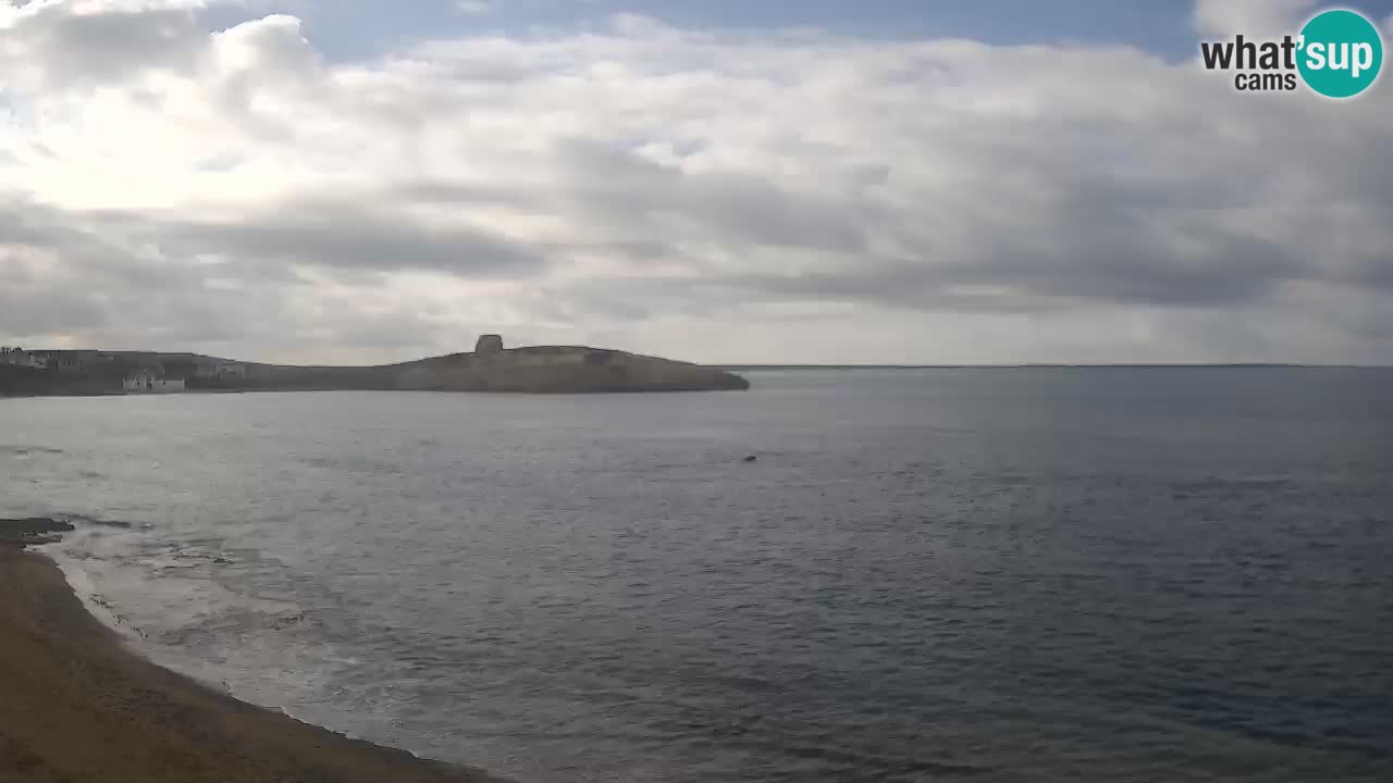 Sarchittu Webcam: Live Views of Stunning Beaches in Sardinia, Italy