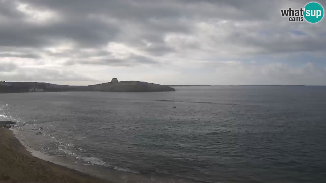 Webcam di Sarchittu: vista in tempo reale delle bellissime spiagge della Sardegna