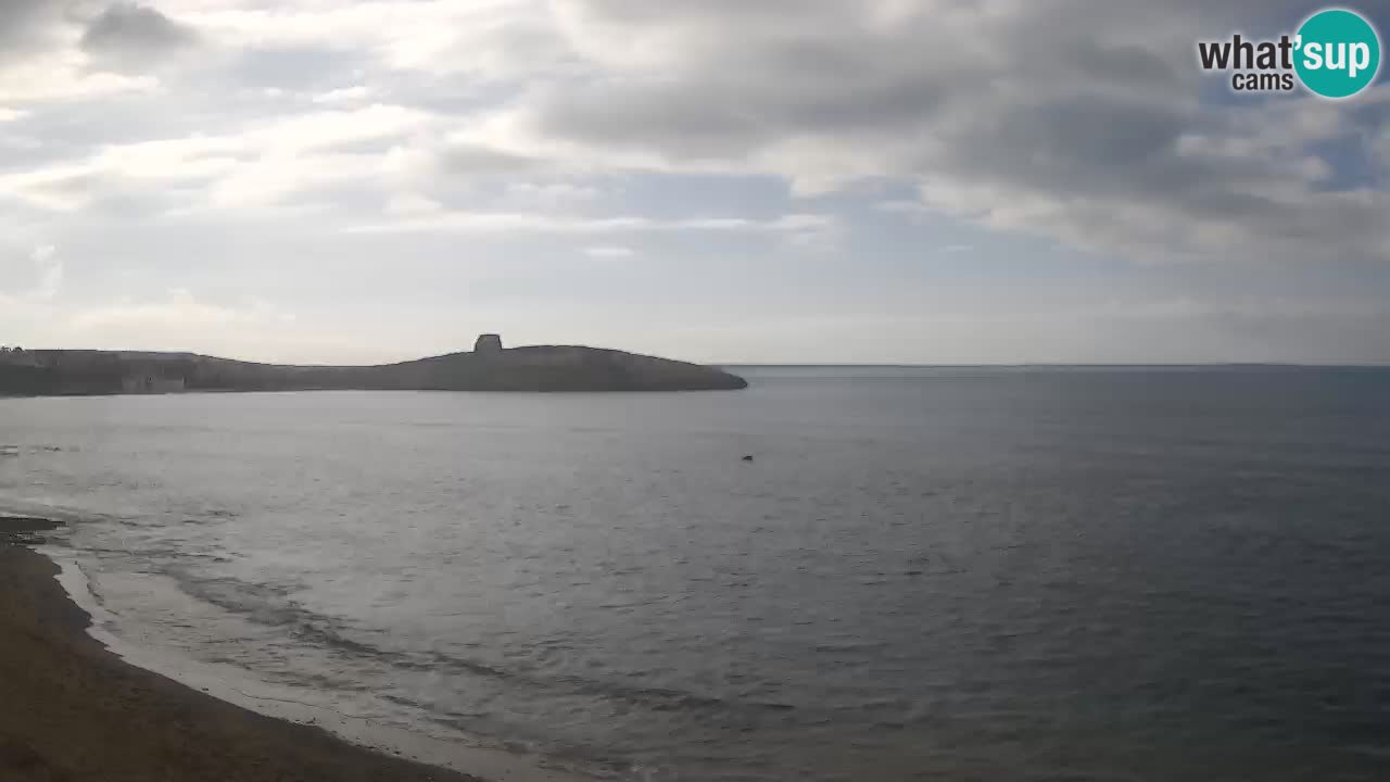 Webcam di Sarchittu: vista in tempo reale delle bellissime spiagge della Sardegna