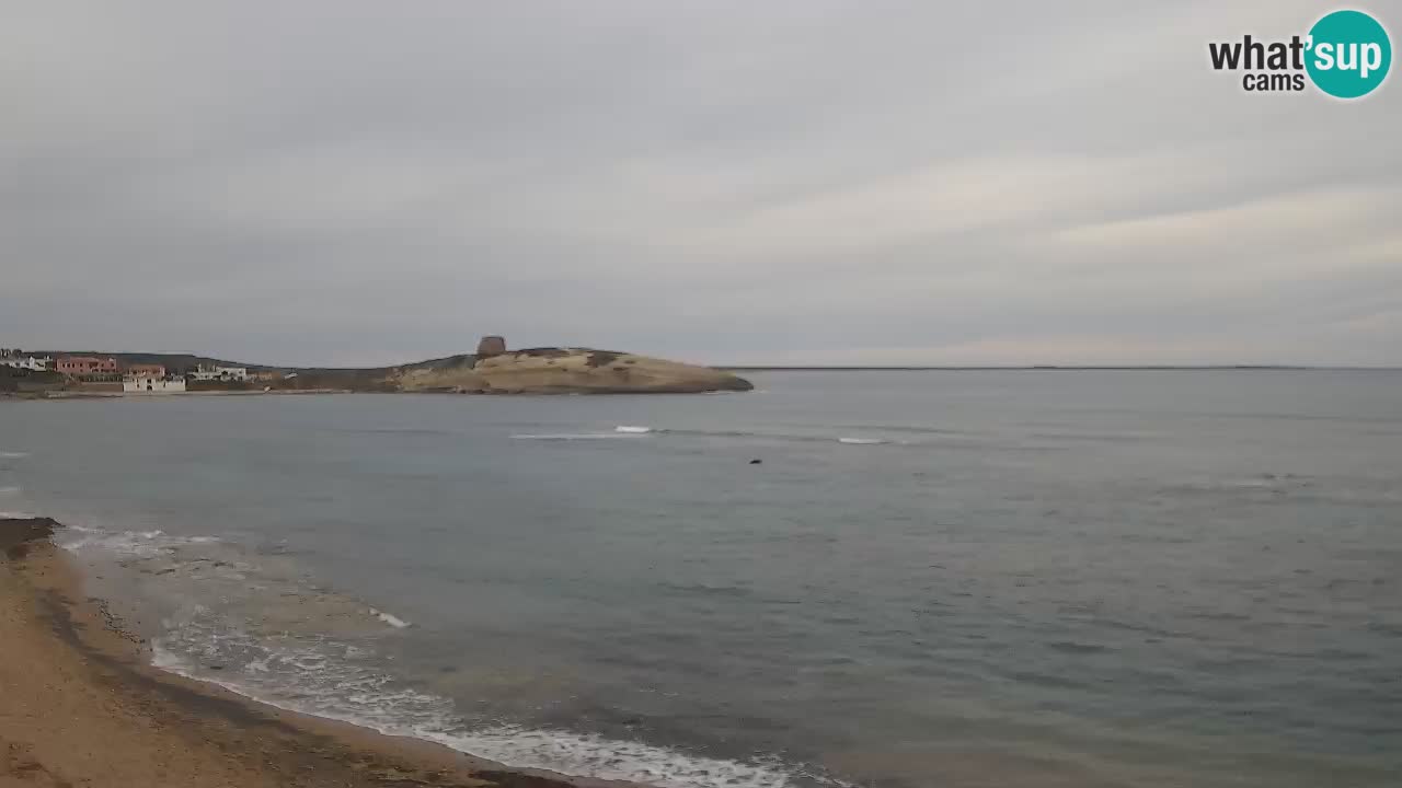 Webcam de Sarchittu : vues en direct des plages magnifiques de Sardaigne, Italie