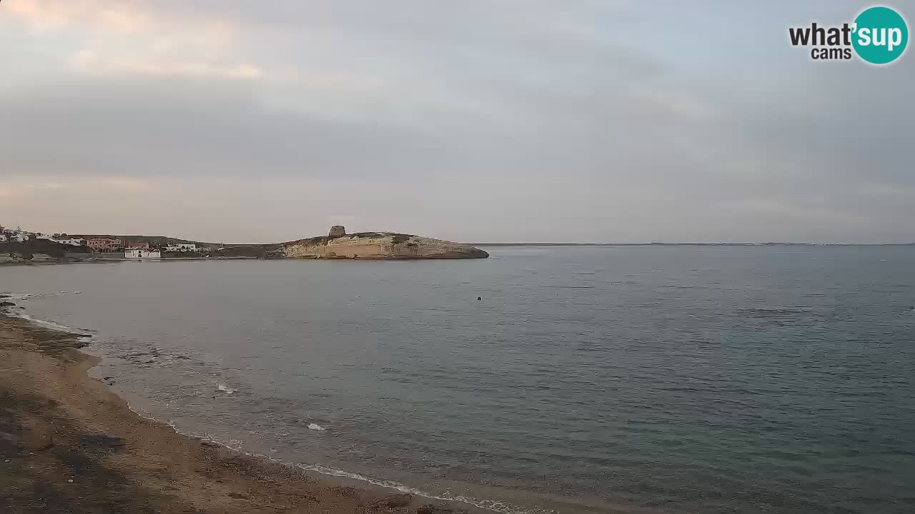 Webcam di Sarchittu: vista in tempo reale delle bellissime spiagge della Sardegna