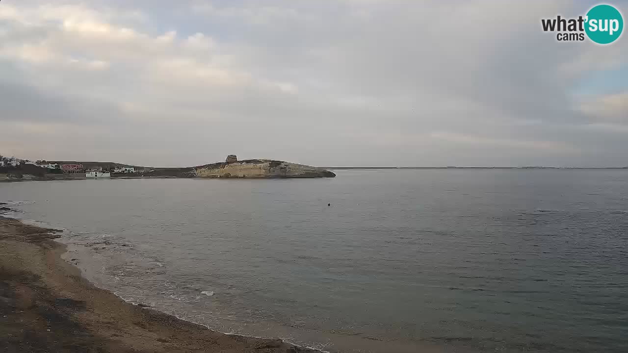 Webcam di Sarchittu: vista in tempo reale delle bellissime spiagge della Sardegna