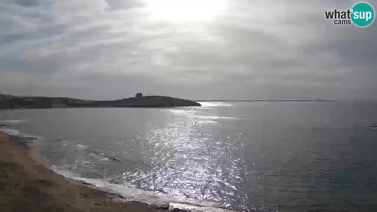 Webcam de Sarchittu : vues en direct des plages magnifiques de Sardaigne, Italie