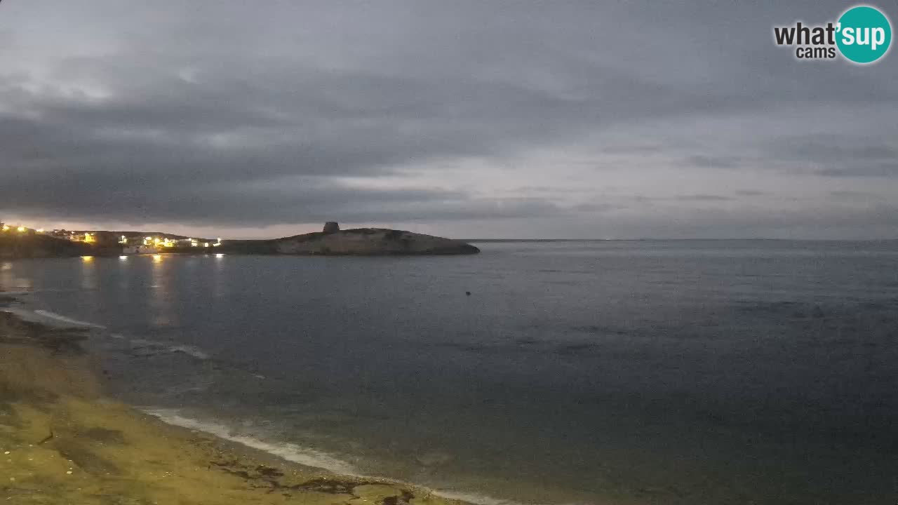 Webcam di Sarchittu: vista in tempo reale delle bellissime spiagge della Sardegna