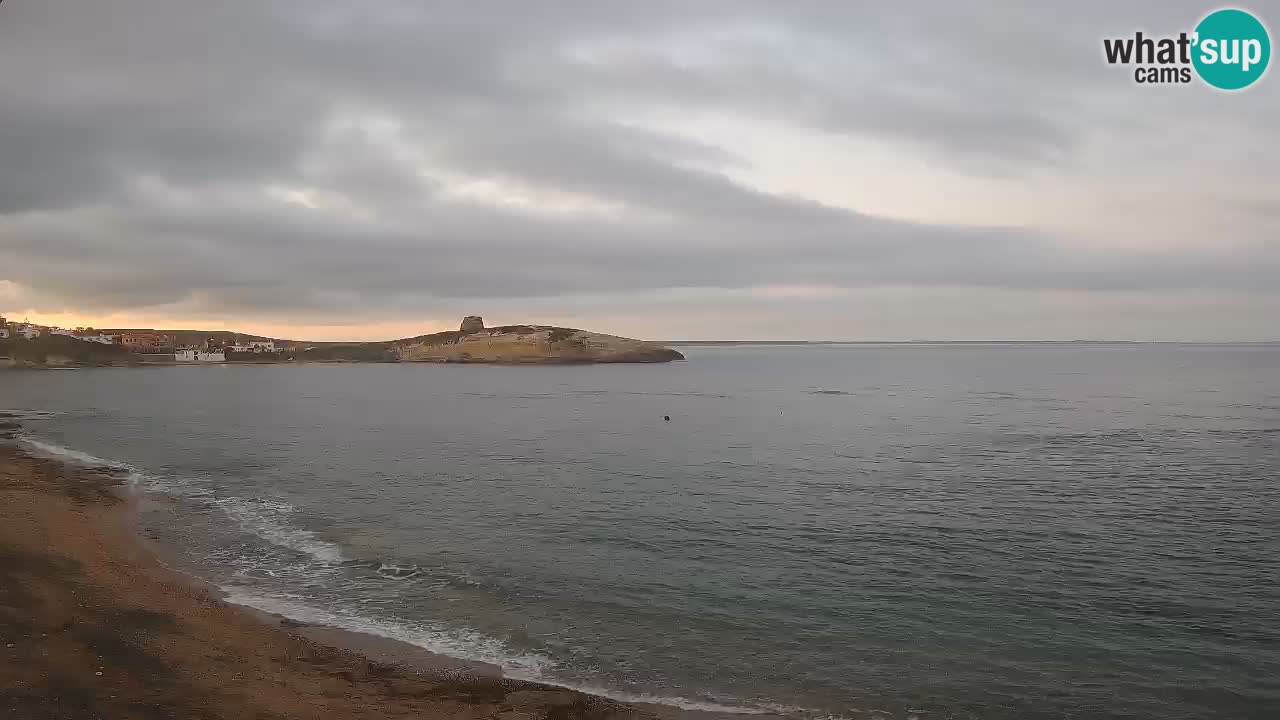 Webcam di Sarchittu: vista in tempo reale delle bellissime spiagge della Sardegna