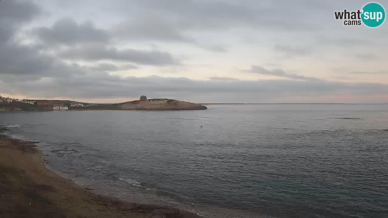 Sarchittu spletna kamera: Neposredni pogledi na osupljive plaže na Sardiniji, Italija