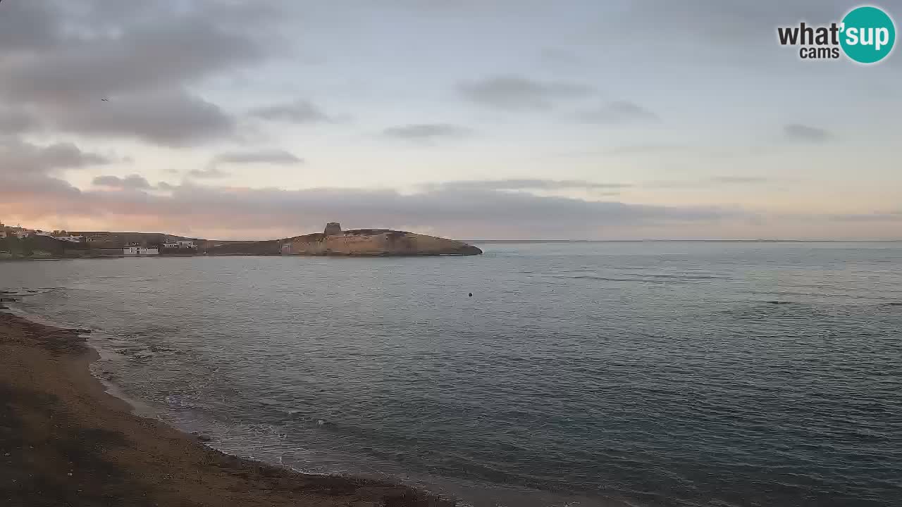 Webcam di Sarchittu: vista in tempo reale delle bellissime spiagge della Sardegna