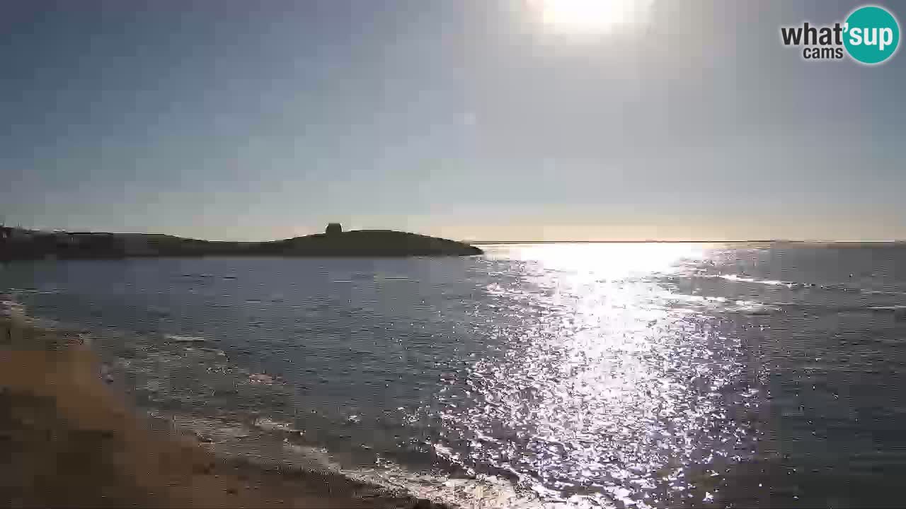 Sarchittu spletna kamera: Neposredni pogledi na osupljive plaže na Sardiniji, Italija