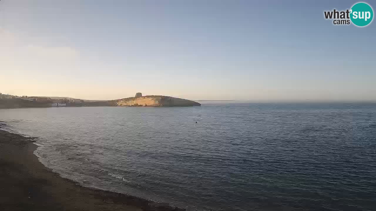 Webcam di Sarchittu: vista in tempo reale delle bellissime spiagge della Sardegna