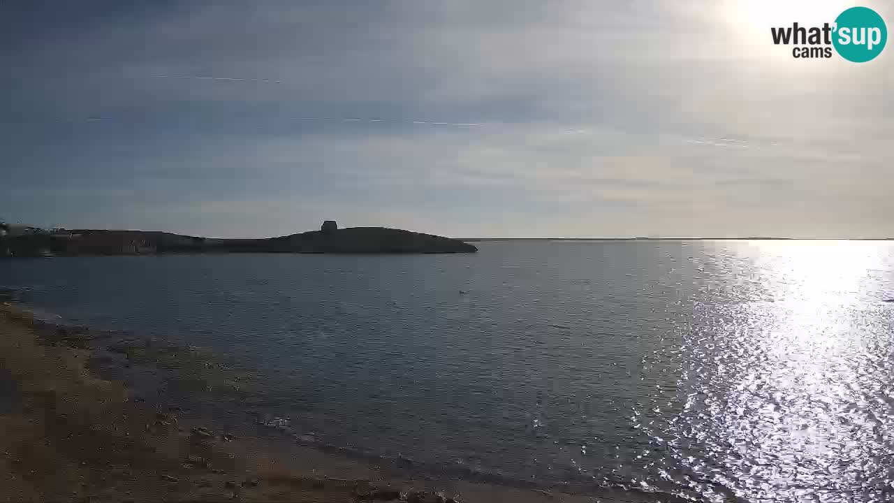 Webcam de Sarchittu : vues en direct des plages magnifiques de Sardaigne, Italie