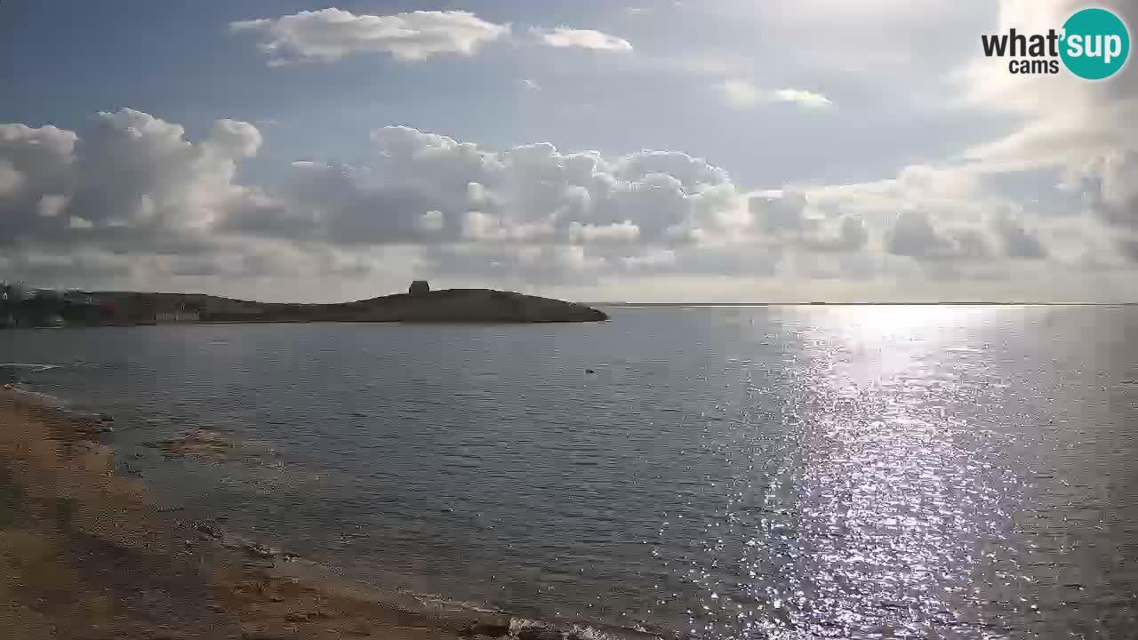 Sarchittu Webcam: Live Views of Stunning Beaches in Sardinia, Italy