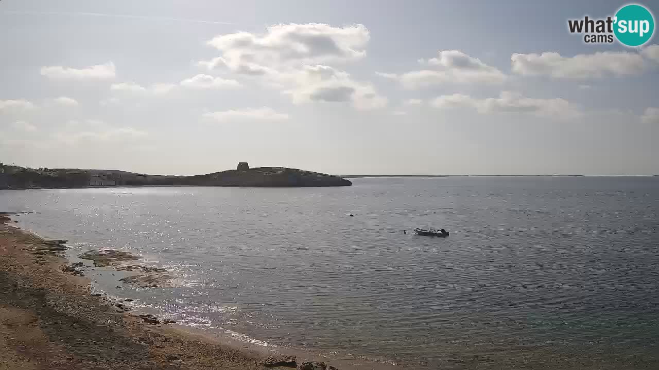 Webcam di Sarchittu: vista in tempo reale delle bellissime spiagge della Sardegna