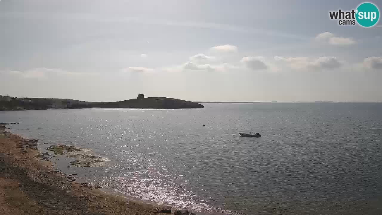 Webcam di Sarchittu: vista in tempo reale delle bellissime spiagge della Sardegna