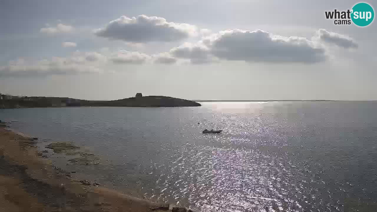 Webcam di Sarchittu: vista in tempo reale delle bellissime spiagge della Sardegna