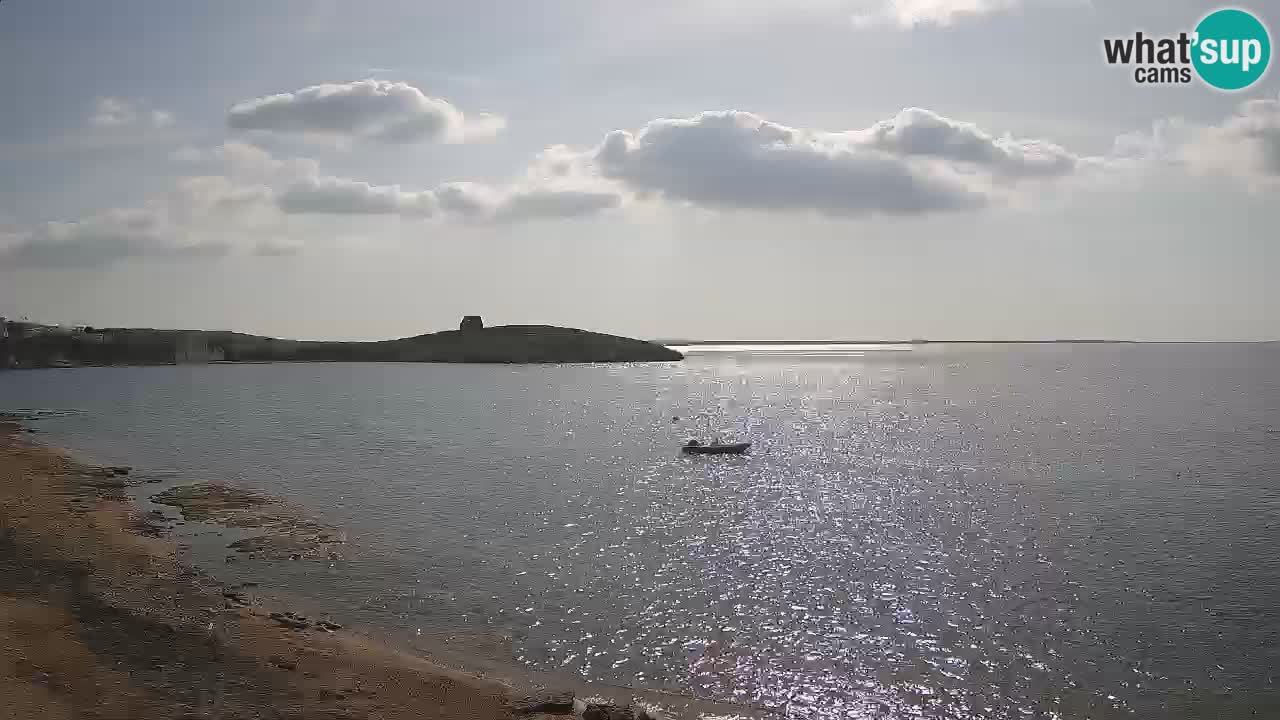 Webcam di Sarchittu: vista in tempo reale delle bellissime spiagge della Sardegna