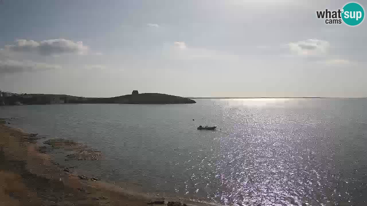 Webcam di Sarchittu: vista in tempo reale delle bellissime spiagge della Sardegna