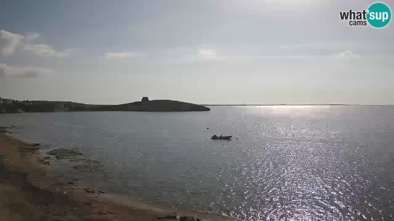 Webcam di Sarchittu: vista in tempo reale delle bellissime spiagge della Sardegna